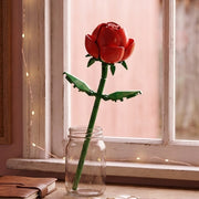 Red Rose