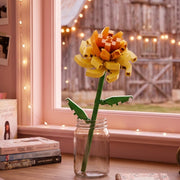 Camellia Flower