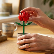 Red Rose