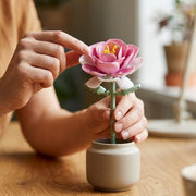 Pink Rose