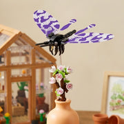 Violet  Drangonfly